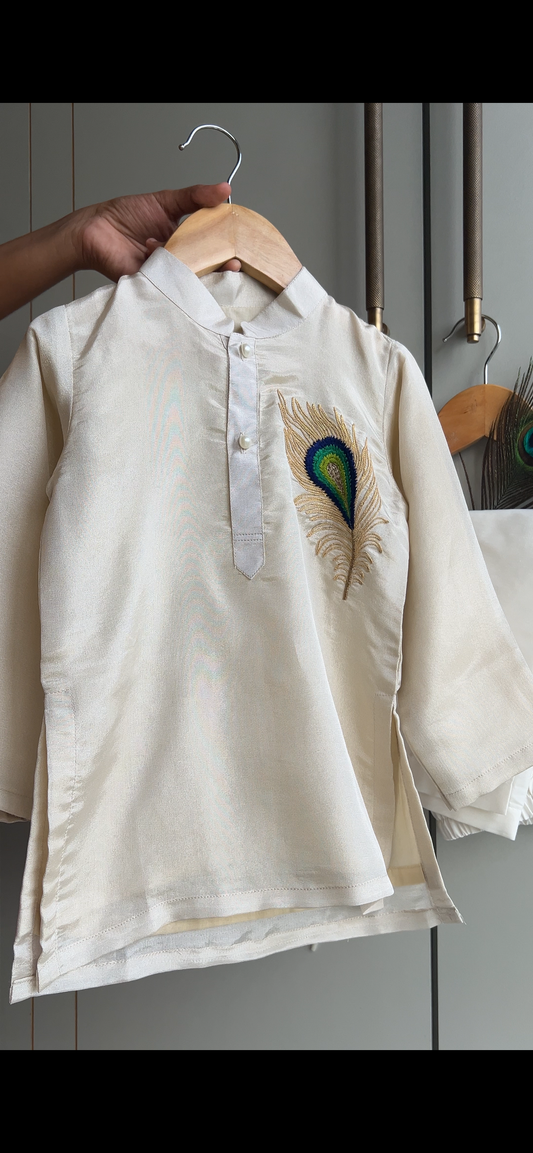 Mor Pankh Embroidered Shimmer Kurta And Pyjama