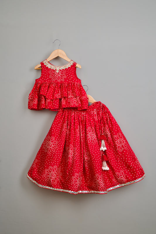 Red Printed Embroidered Layered Top And Flared Lehenga