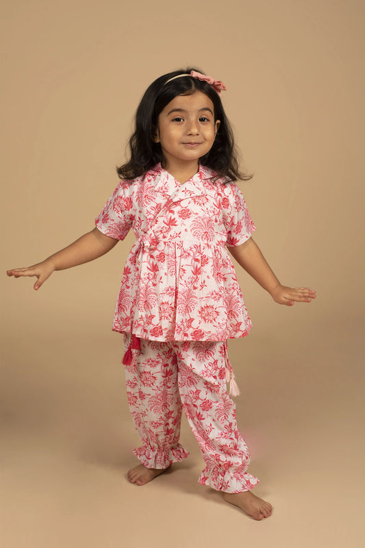 Poochkie pink dress for kids