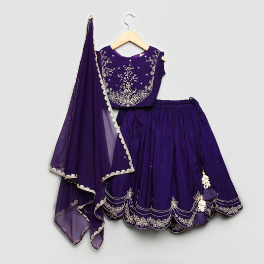 Purple Double Tie-up Lehenga Choli